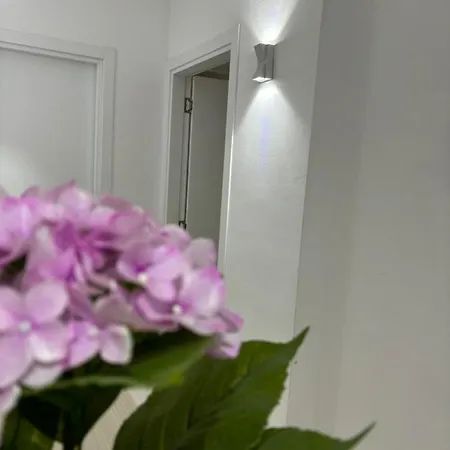 Center, Selvia White Apartment
