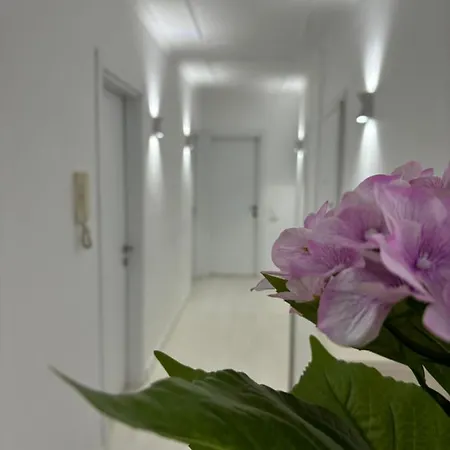 Center, Selvia White Apartment *